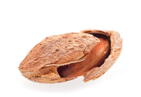 Roasted almond nut — Stock Photo, Image