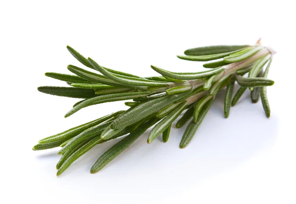 Rosemary brindille herbe — Photo