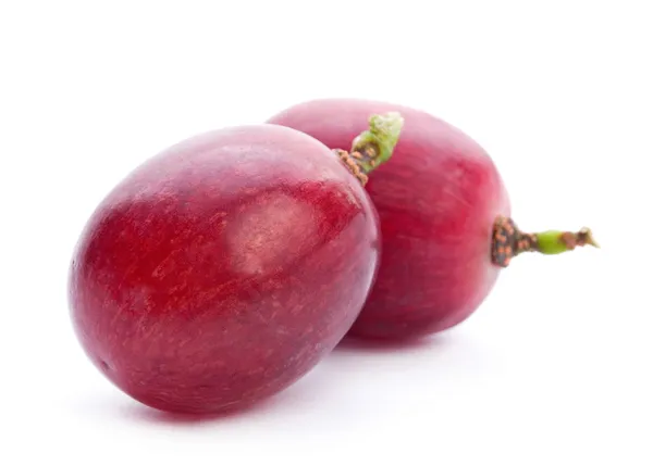 Grosses baies de raisin — Photo