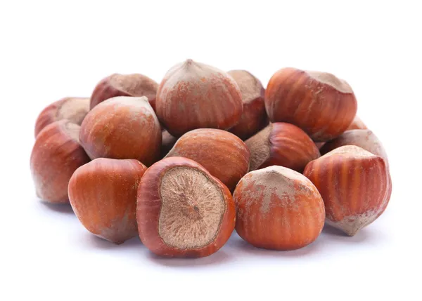 Hazelnut closeup — Stock Photo, Image