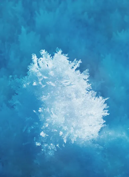 White frost background — Stock Photo, Image