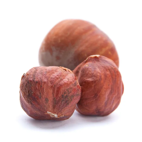 Hazelnut closeup — Stock Photo, Image