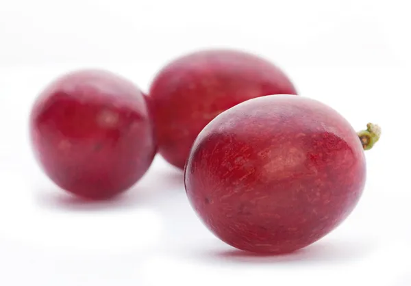 Grape berry closeup — Stock Photo, Image