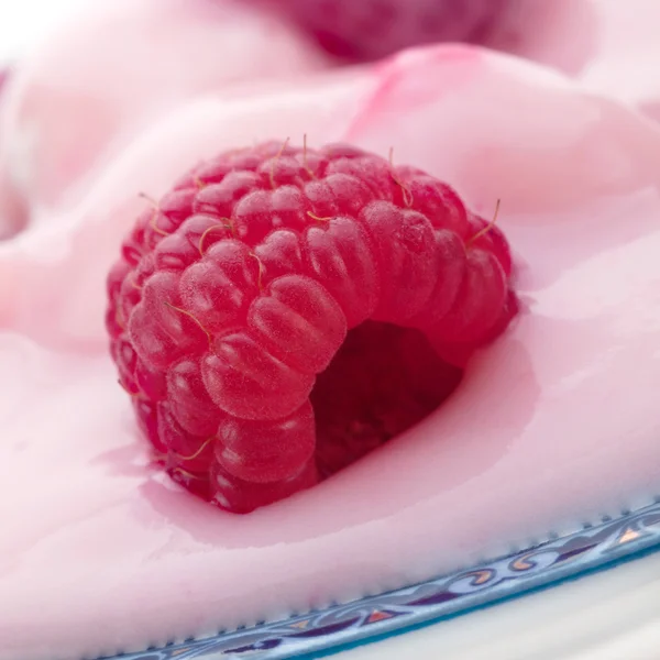 Yogurt with berry — Stock Photo, Image
