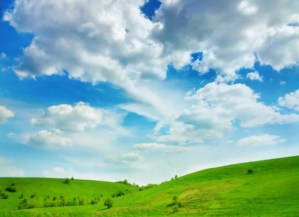 하늘과 푸른 풀로 뒤덮인 여름 풍경 — 스톡 사진