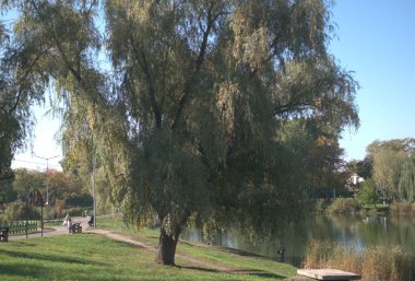 Şehir parkının güzel manzarası