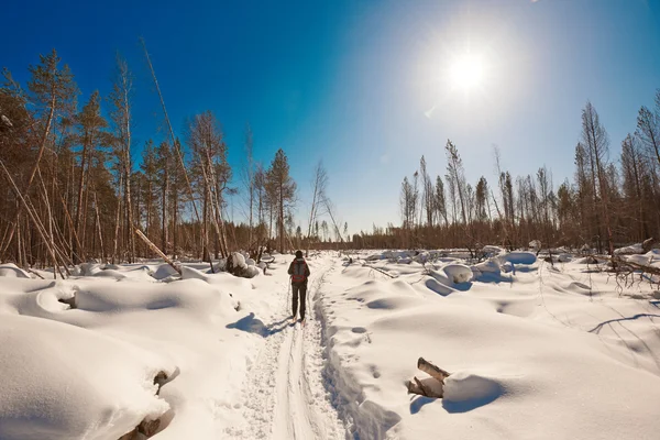 Wereld explorer. — Stockfoto