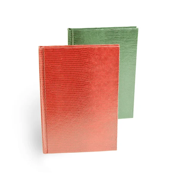Röda och gröna böcker i läderklädsel på en vit bakgrund, orm. — Stockfoto