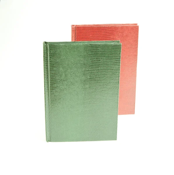 Зеленые и красные книги в кожаной обложке на белом фоне, Snak — стоковое фото