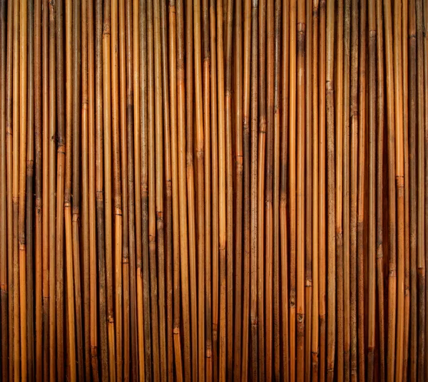 Textura de bambu — Fotografia de Stock