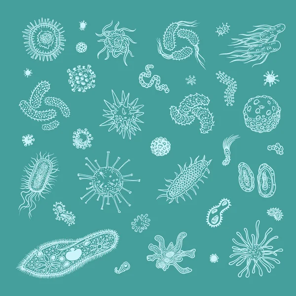 Simple Set Bacteria Virus Icons Web Design — Stock Vector