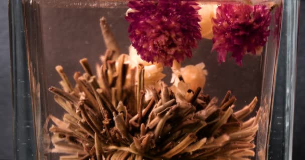 Gerçeküstü Soyut Sanat Eserleri Hayal Gücü Çiçekleri Arka Plan Resim — Stok video