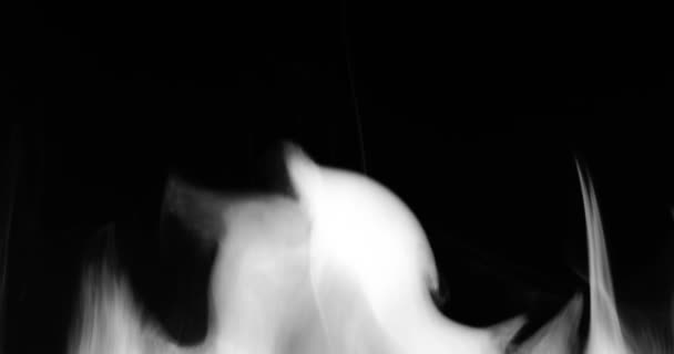 Καπνός Φυσά Μέχρι Μακροφωτογραφίες — Αρχείο Βίντεο