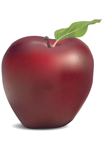 Vörös alma gyümölcs — Stock Vector