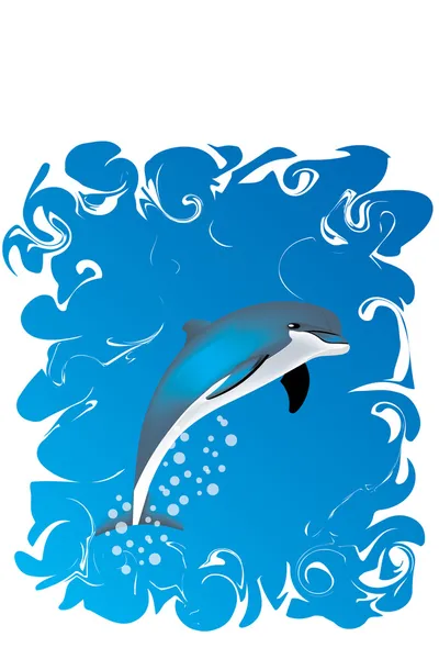 Delfín — Stockový vektor