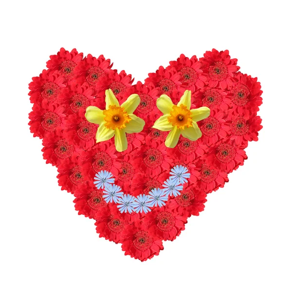 Smiling flower heart — Stock Photo, Image
