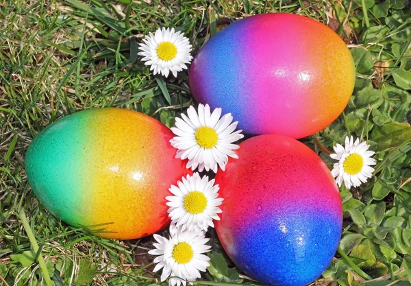 Three painted easter eggs in the garden — Stock Photo, Image