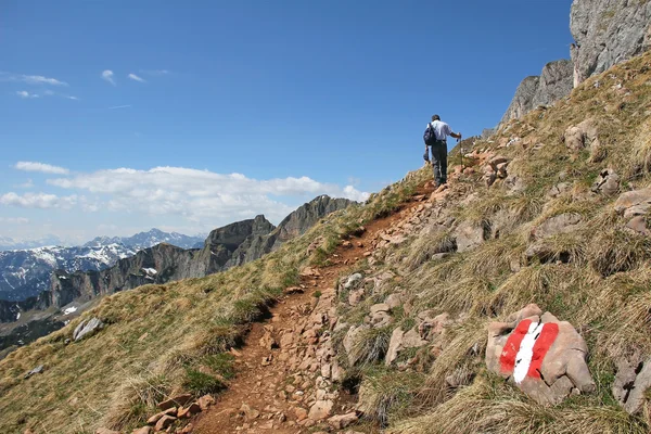 Montanhista em uma trilha de caminhadas nos alpes austríacos — Fotografia de Stock