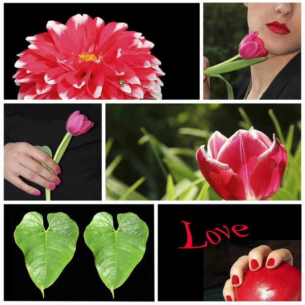 "love" met bloemen en tienermeisjes gezicht collage — Stockfoto