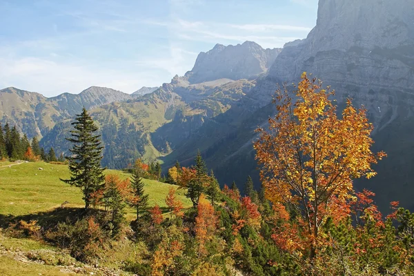 Vallée karwendel en automne, paysage autrichien — Photo