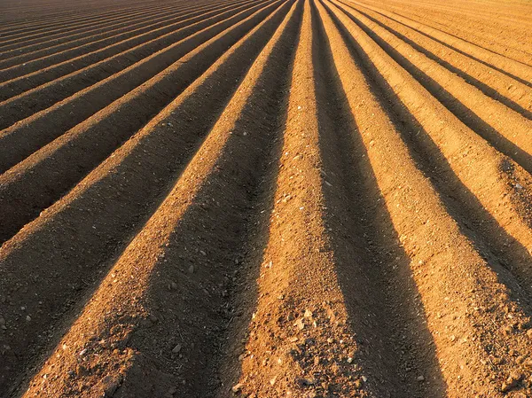 Furrows ready for sowing — Stock Photo, Image