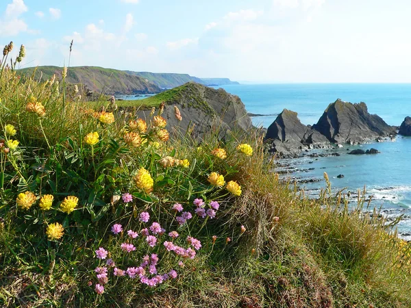 Kustlandschap, cornwall, Zuid-Engeland — Stockfoto