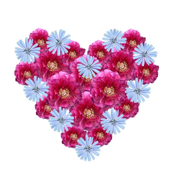 Corazón floral, hecho de peonía rosa y acianos azules — Foto de Stock