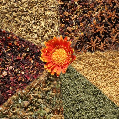 çeşitli bitki ve meyve çayı