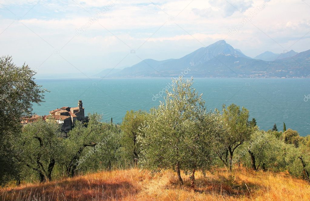 View to village pai, olive grove and garda lake, italy