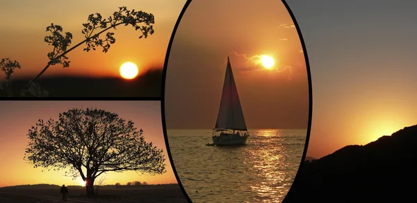 Collage av sunset landskap — Stockfoto