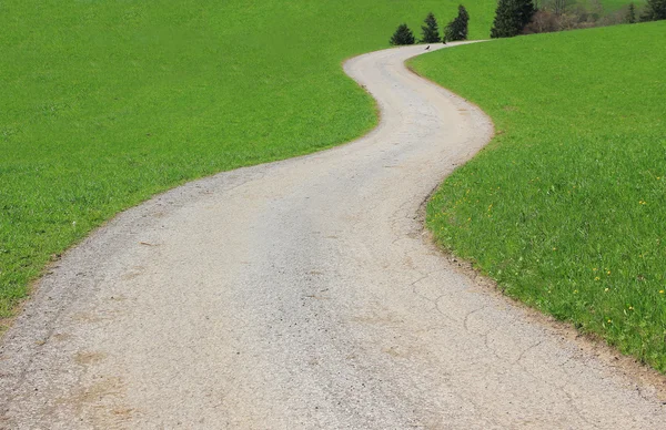 Dolambaçlı bir yol — Stok fotoğraf