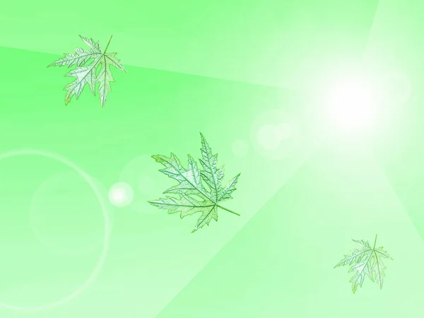 Hellgrüner Hintergrund mit Blättern, Öko-Design — Stockfoto
