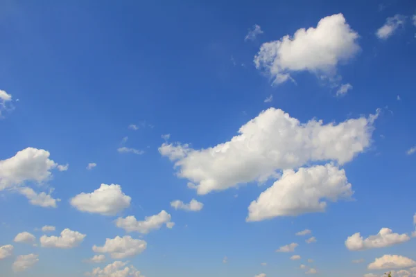 Blå himmel med cumulusmoln — Stockfoto