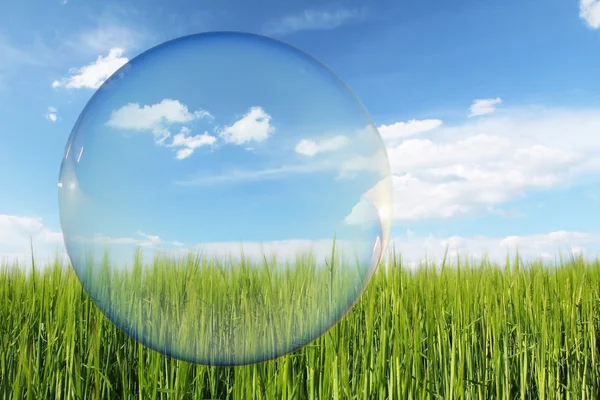 Myslím, že zelenou nálepku, zelené pšeničné pole a modrou oblohu s mraky, design pro ekologii Stock Fotografie