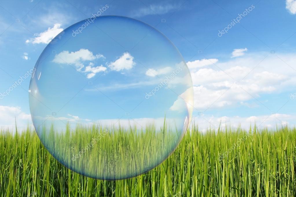 Think Green label, green wheat field and blue sky with clouds, design for ecology