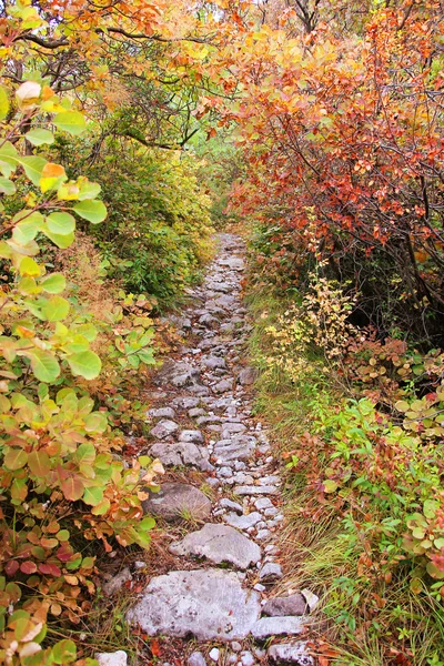 광 야, 이탈리아 하이킹 코스에서에서 바위 보도 — 스톡 사진