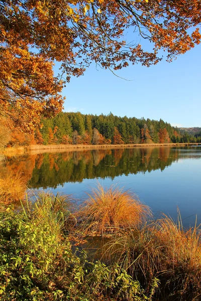 Hermoso lago páramo en colores otoñales, paisaje bavariano — Foto de Stock