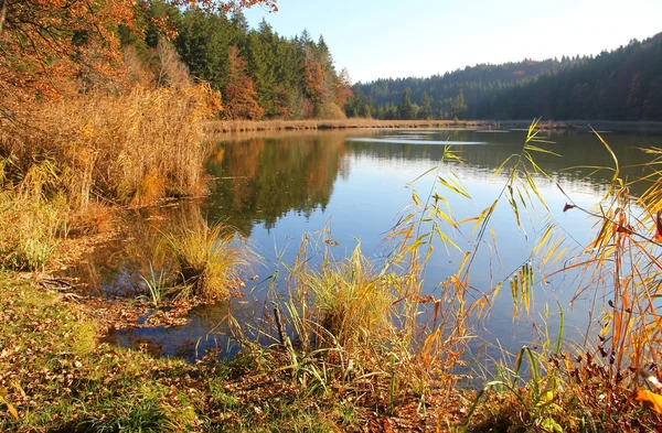 Herbstlicher Teich, deutsche Landschaft — Stockfoto