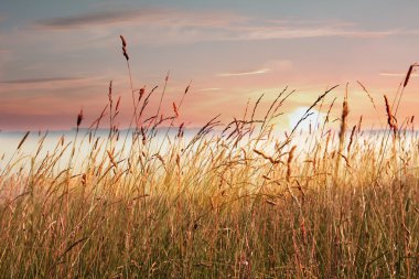 Deniz otu Gölü sahilinde gölde gündoğumu üzerine sis