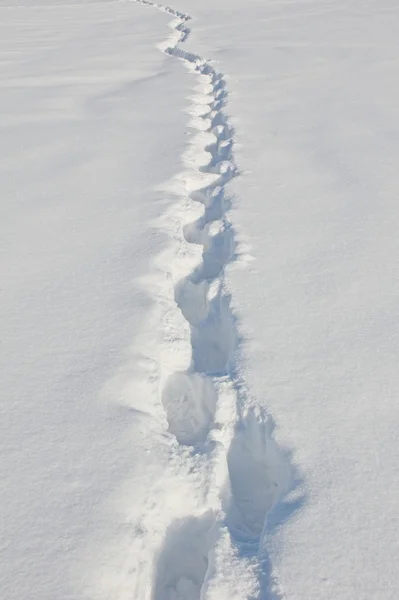 Track with foot prints in the snow — Stock Photo, Image
