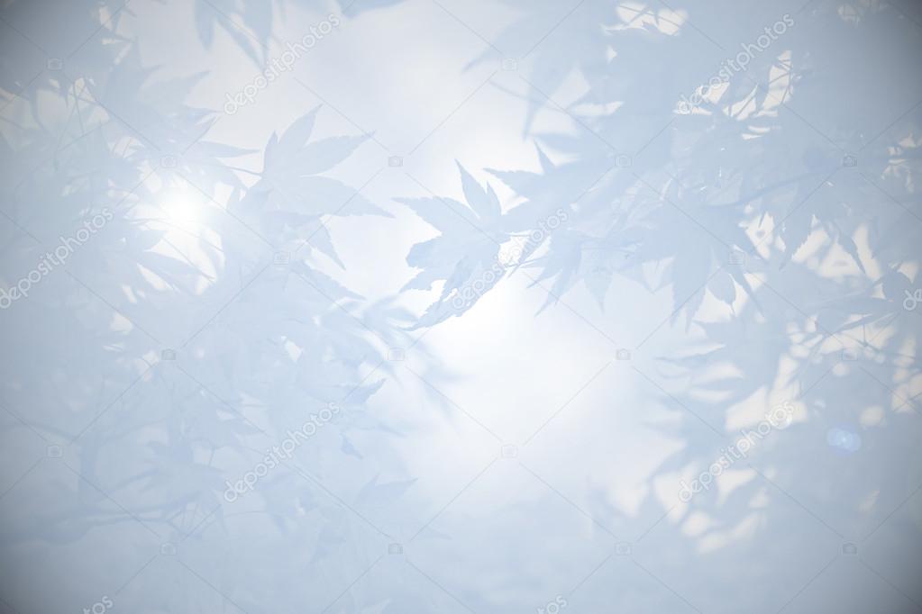Mourning background with maple leaves and light in shades of grey