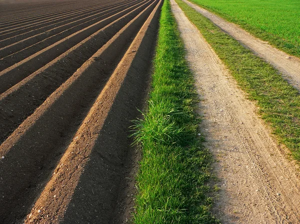 Ploughed soil beside way, agricultural background — Stock Photo, Image