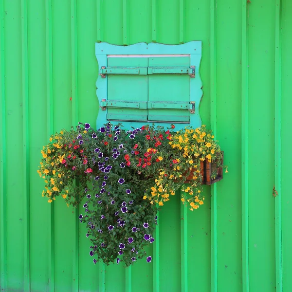 Fachada de madera pintada verde, ventana cerrada con caja de flores — Foto de Stock