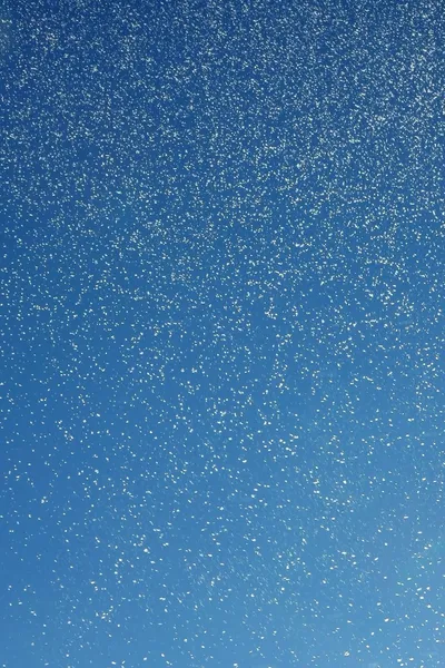 Snowfall background with tiny snow flakes