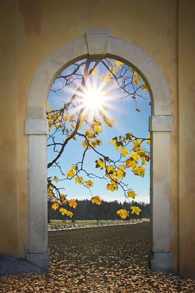 Vista a través de la puerta arqueada, paisaje otoñal con sol brillante y hojas de arce —  Fotos de Stock