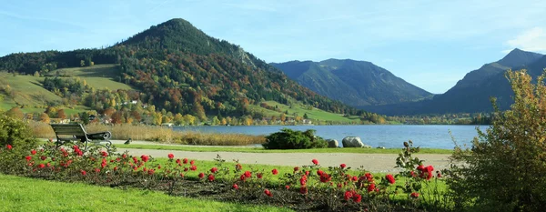 Passeio pitoresco à beira do lago, lago schliersee, com bancos — Fotografia de Stock