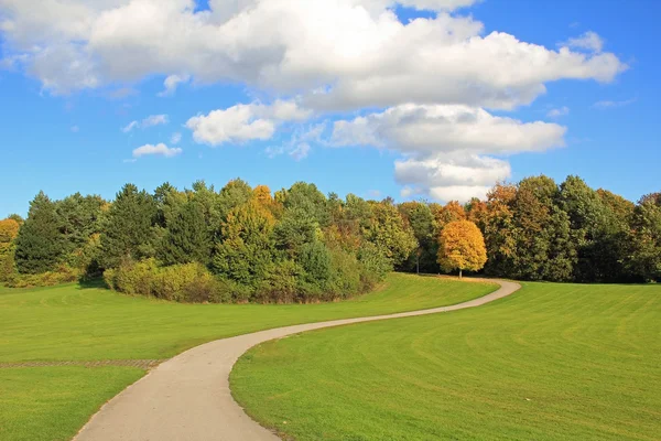 Winding walkway in autumnal park landscape — Stock Photo, Image