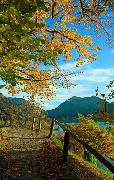 Hiking trail altın sonbahar manzarası, göl schliersee, bava — Stok fotoğraf