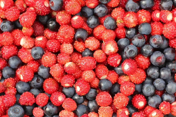 Fresas de bosque y bayas negras — Foto de Stock