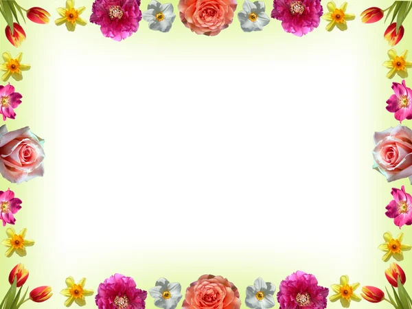 Blumenrahmen mit Frühlingsblumen — Stockfoto